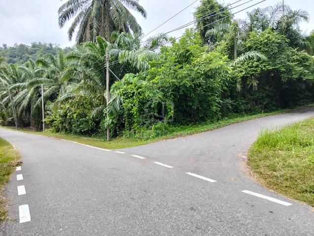 Tanah untuk dijual di Raub Pahang 1