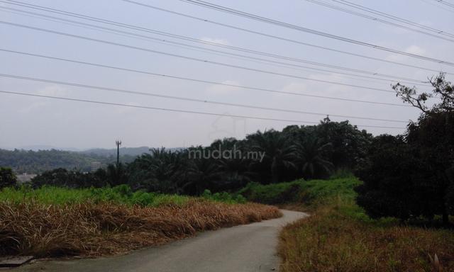Palm Oil Estate Facing Main Road Bentong for Sale 2