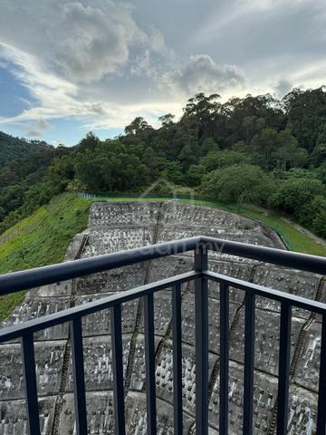 TreeO 1