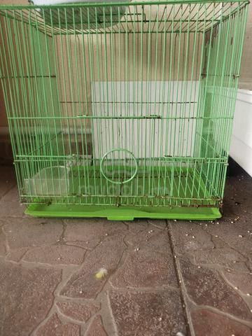 sangkar burung  - photo 3 of 4