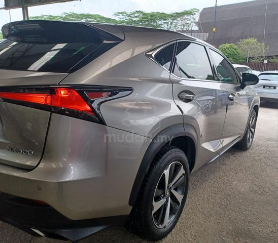 2018 Lexus NX300 2.0 PREMIUM (A) - 3
