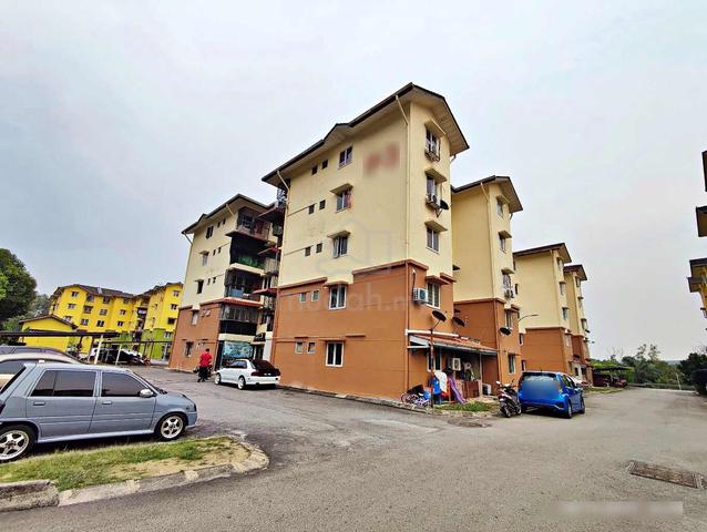 Pinewood Court 1