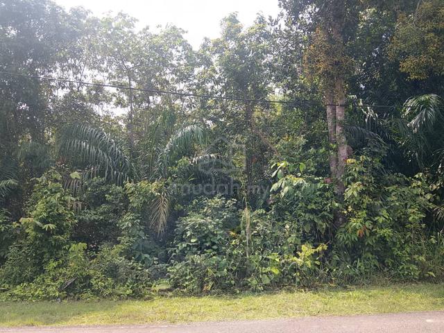 Tanah Pertanian 5 Ekar ☘️ Kg Bak Bak Maran 1