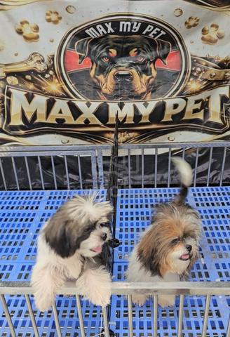 Carousel Image