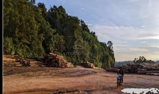 Pahang Keratong 21000 Acre Oil Palm Private Land Leasehold Rm4k / Acre 1