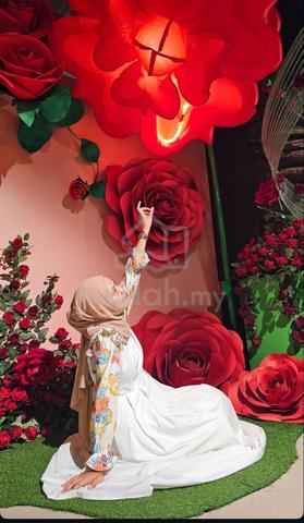 Carousel Image Selected