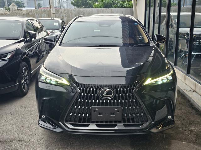 2023 Lexus NX250 2.5 LUXURY (A) Mark Levinson - 2