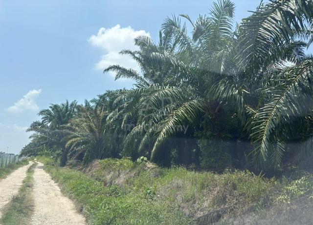 CONVERTED INDUSTEY Land 2.16 Acre Sale‼️Sg Rambai Telok Panglima Klang 1