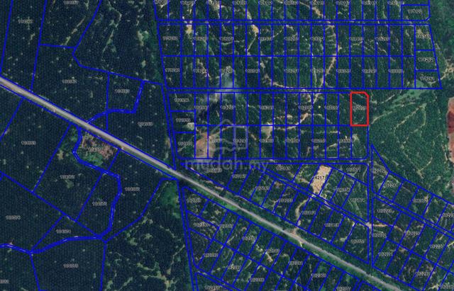 [TANAH PERTANIAN SAWIT DENGAN HASIL] RTK bukit Sagu, Kuantan 1