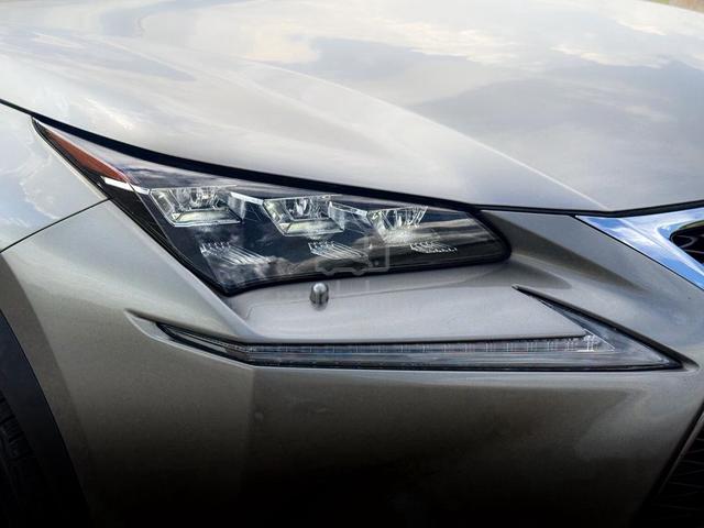 LOW MILEAGE /20 Lexus NX200 2.0 T F-SPORT (A) - 4