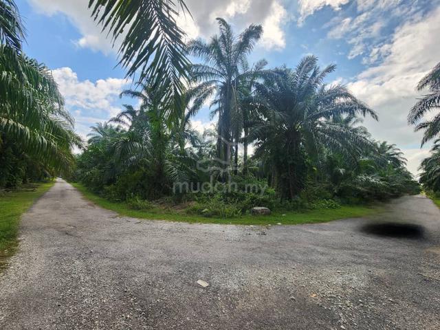 TERMURAH!! BELOW MARKET!! Tanah 12 EKAR di Jugra, Banting, Selangor!! 1