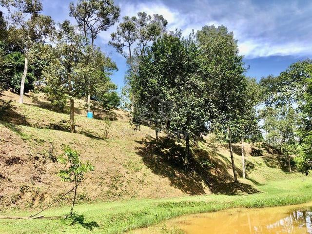 Tanah Dusun Hulu Tamu, Batang Kali 1