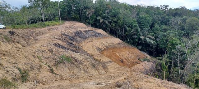 Perkhidmatan sewaan Jentera berat berantai 4