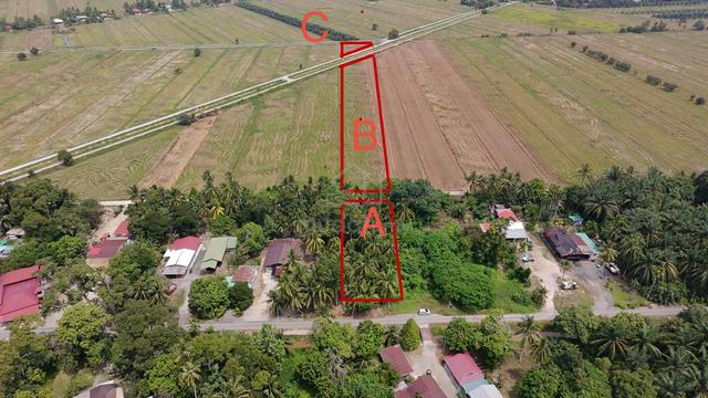 Tanah Pertanian Semanggol 1