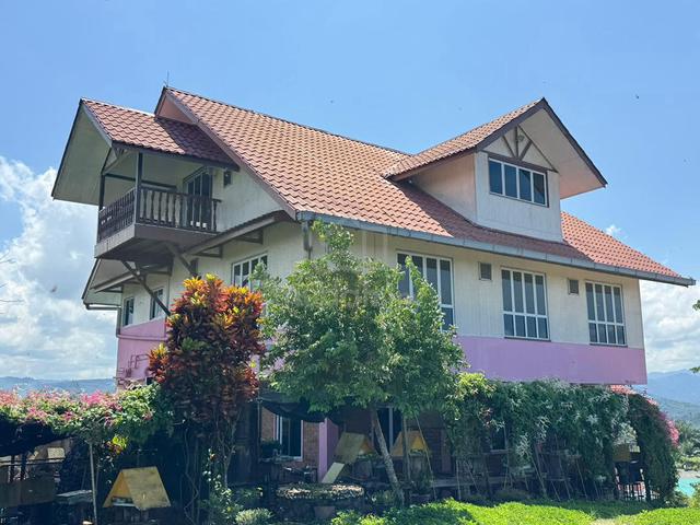 Tingkayu palm plantation for sale!!!!!! 1