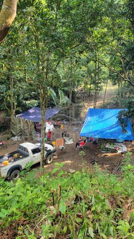 Tanah Kebun/Ladang untuk di jual di Kuala Krai 29 ekar 1