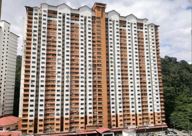 Flora Damansara 1