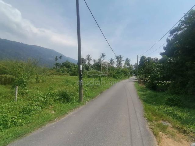 Tanah Untuk Tapak Rumah Dan Dusun 2