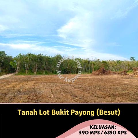 Tanah Berdekatan Kediaman dan Jalan Utama Bukit Payong 1