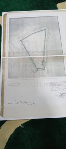 Tanah 97 Ekar Kuala Langat 1