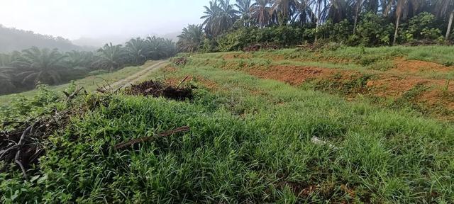 Tanah Selangor Ulu Bernam 2.9 Ekar sudah Dibersihkan 1