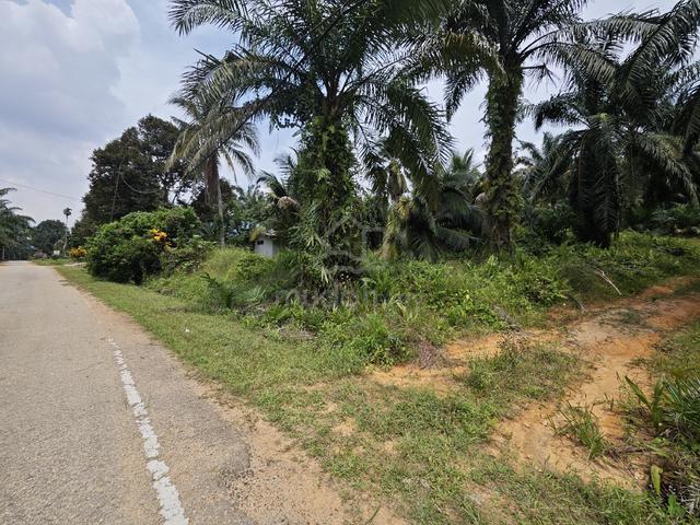 Tanah pertanian untuk di jual 1