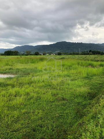 Land For Investment In Langkawi 1