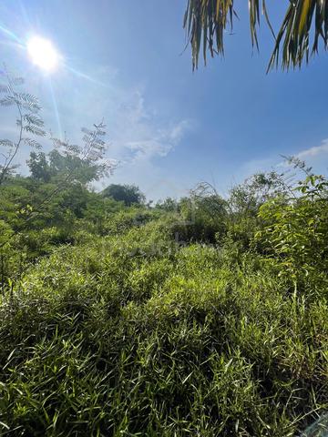Tanah Pertanian Telok Kemang 1