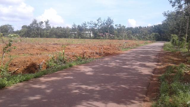 Tanah Kebun Luas sekali 1