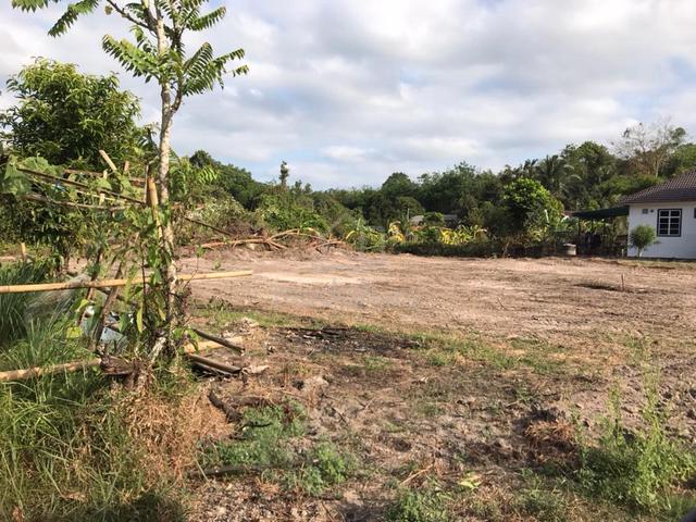 Lot Banglow Corner Lot Untuk Dijual 1