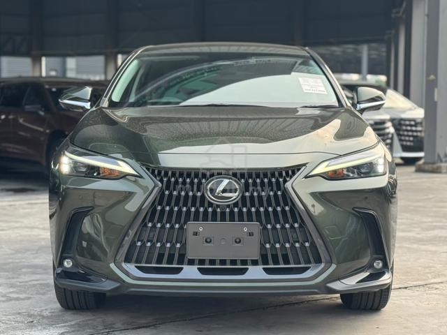 2023 Lexus NX250 2.5 BASE GRADE / DIM / 360 CAM - 4