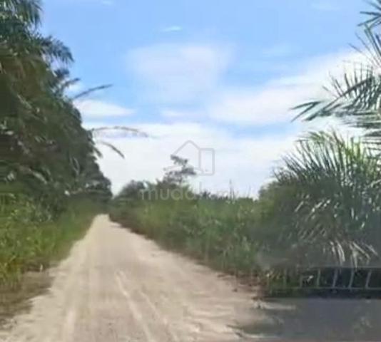 MURAH! TANAH SAWIT 4.45 Ekar Parit Yaani Seri Medan Batu Pahat Johor 1
