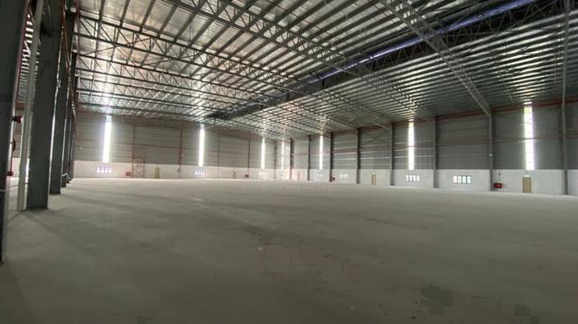 Pasir Gudang Detached Factory (5 Acres) - For Rent 3