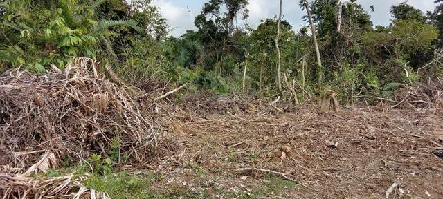 Tanah Pertanian 3 Ekar Bukit Puling, Jalan Sungai Lembing Kuantan 1