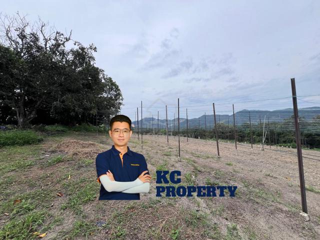 8.36 Acre Agri Land, Jalan Gajah Mati, Machang Bubok 1