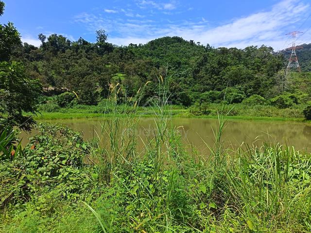 [ FREEHOLD ] Mantin Agriculture Land For Sale 1