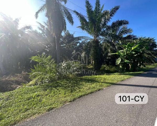 Telok Panglima Sijangkang Big Land For Sale, Good For Investment 1