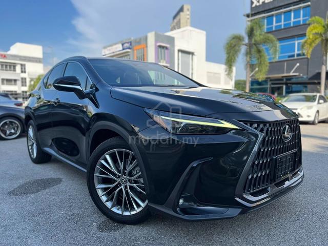 2022 Lexus NX 250 Version-L Panoroof Recon Japan - 1