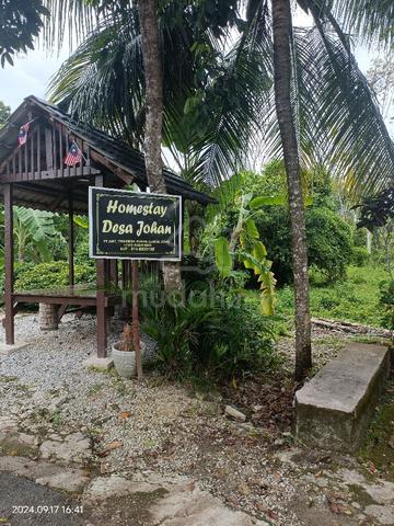 taman desa johan lubok jong 1