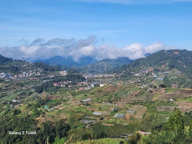 Mount Kinabalu View| Kundasang Land For Sell|3.99acres 1