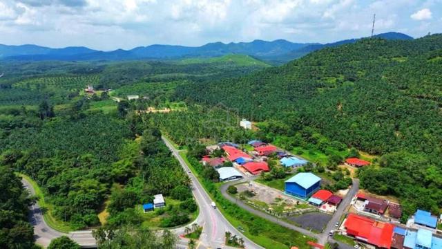 SPACIOUS 220.18 Acres Agricultural Land Kuala Pilah, Negeri Sembilan 1