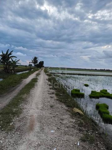 Tanah Sawah  3 ekar Tali air 8 Ban 2 Sekinchan 1