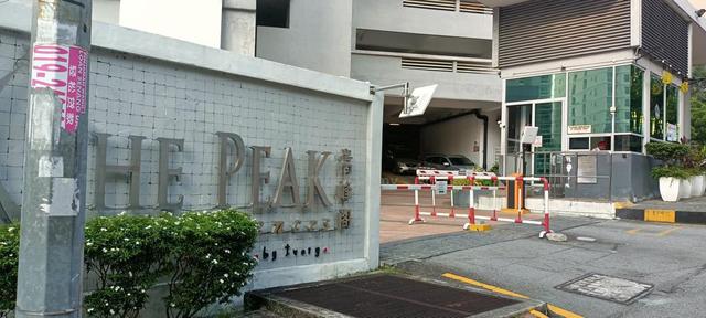 The Peak Residences 1