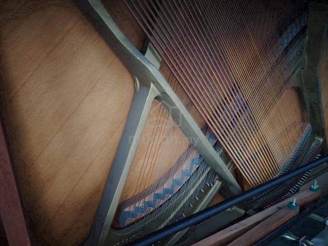 Carousel Image