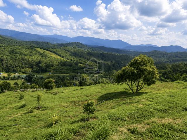 Agricuture Land Johol Negeri Sembilan 1