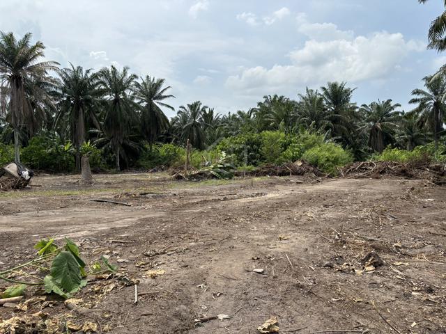Land to Rent 1