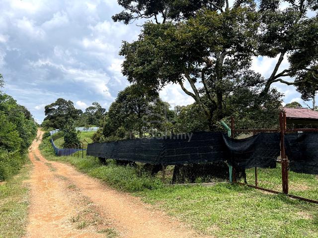 Multiple Agriculture Purpose Land (1 Acre) with Reserve Road for Sale 1