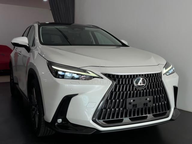 2023 Lexus NX250 2.5 VERSION L (A) - 3