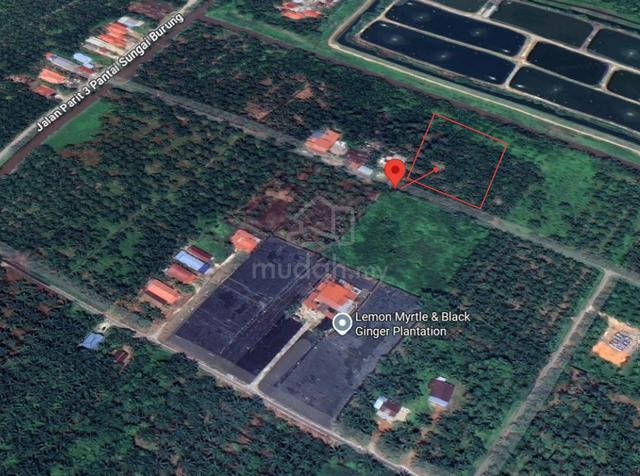 Tanah 1.5 ekar Non Bumi di Tanjong Karang Untuk Dijual 1
