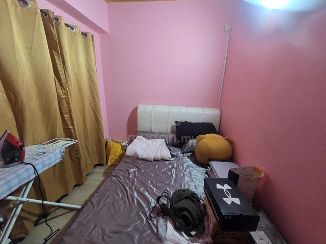 Looking for male tenant 1